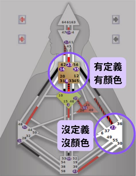 沒有顏色的人|人類圖怎麼看？看懂自己人類圖設計的完整大補帖！